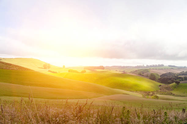 istock Landscape before sunset in New Zealand. 1197510612