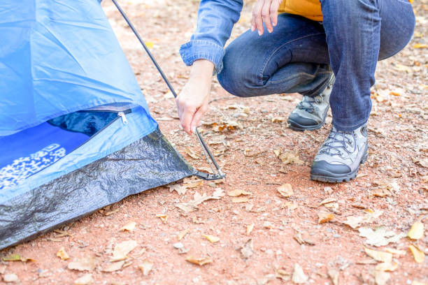 istock Unknown senior women hiking in forest with her tent. 1197510748
