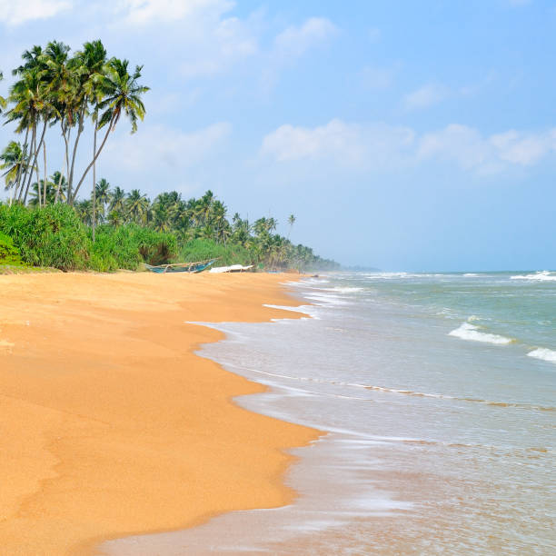 istock Tropical island with a sandy beach and beautiful palm trees. 1197511653