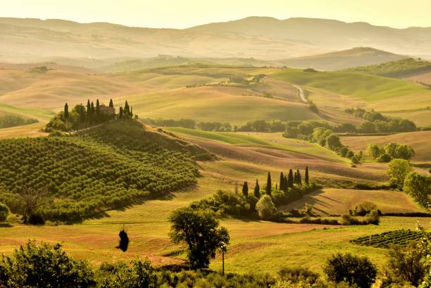 istock A Tuscany landscape 1197514390