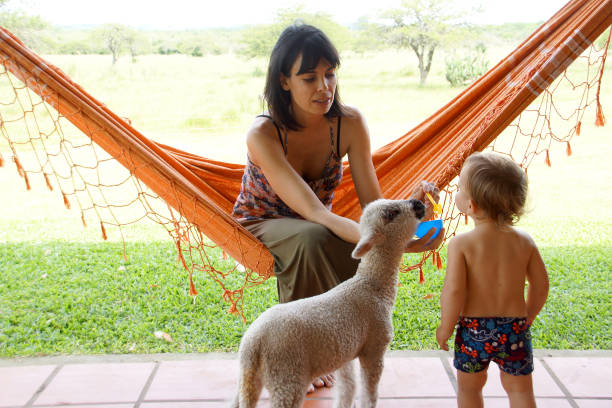 istock woman with lamb 1197515110
