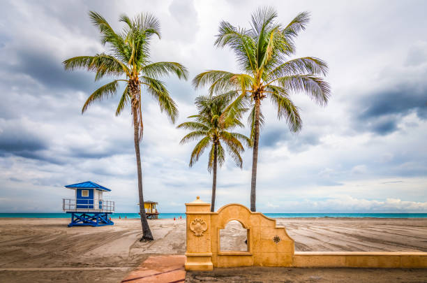 Hollywood beach landscape, Florida, USA. Coconut palm trees, blue and yellow lifeguard tower on an empty beach of Hollywood, Florida, USA. Overcast sky. No people. hollywood florida photos stock pictures, royalty-free photos & images