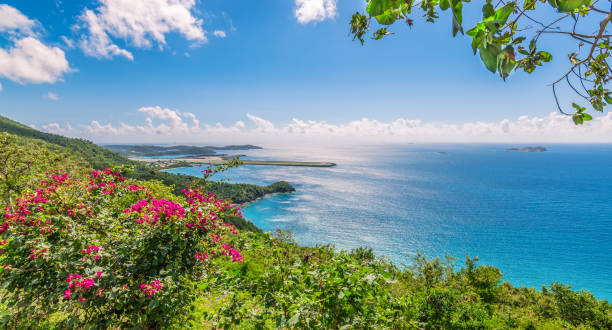 Saint Thomas, US Virgin Islands. Brewers bay and Perseverance Bay. On the background airport strip in the ocean. Beautiful panoramic landscape with sea, plants and fuchsia  Bougainvillea flowers on the Island of St Thomas, US Virgin Islands. On the background airstrip of St Thomas. Blue sky and white clouds. st. thomas virgin islands photos stock pictures, royalty-free photos & images