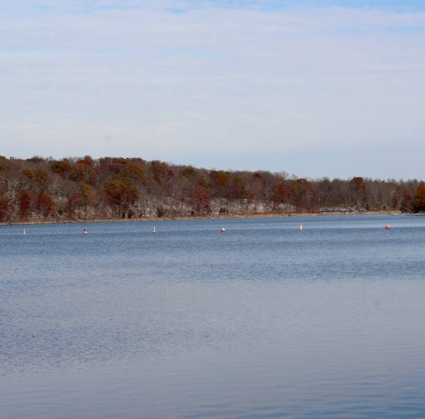 istock Cloudy Fall Snowy Day at the Lake 1197521193