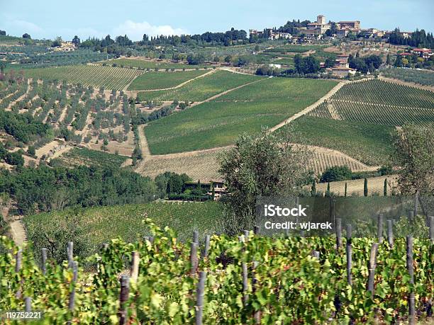 Tuscany Stockfoto und mehr Bilder von Abmachung - Abmachung, Agrarbetrieb, Anhöhe