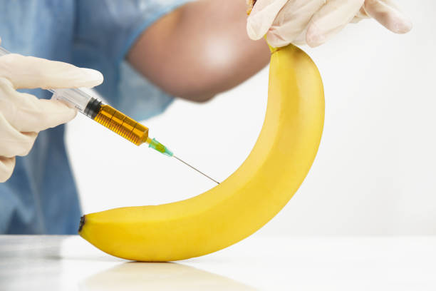 closeup of needle injected into banana, genetically engineered food concept - injecting healthy eating laboratory dna imagens e fotografias de stock