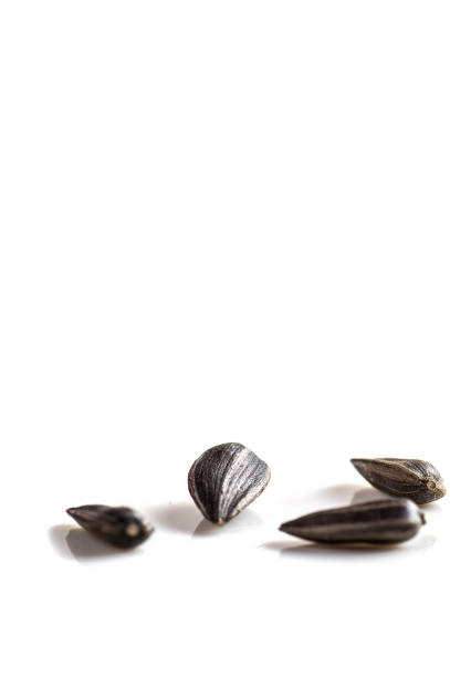 istock Sunflower Seeds on white background. Helianthus annuus. 1197526028