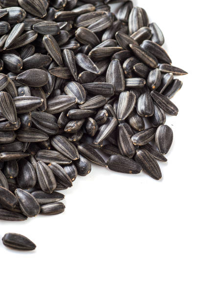 istock Sunflower Seeds on white background. Helianthus annuus. 1197526095