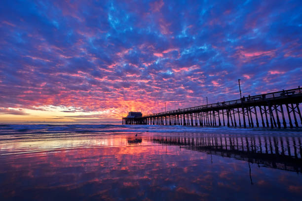 istock Newport Pier - Fiery Winter Beach 3 1197526152