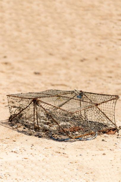 trappola per catturare granchio di ferro sulla spiaggia asia thailandia foto verticale - 6726 foto e immagini stock