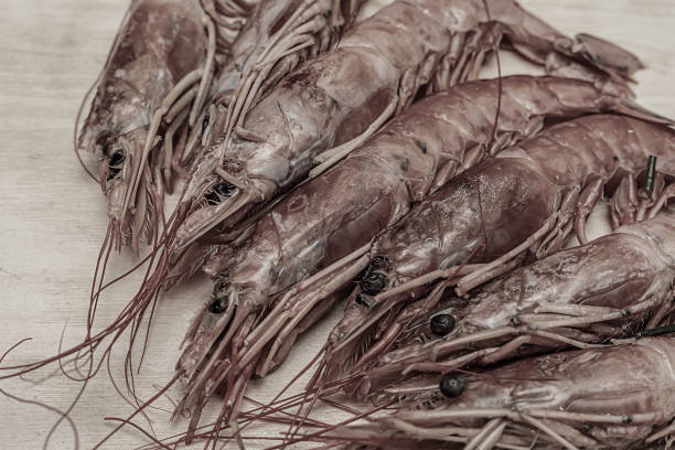 shrimp set toned whole seafood fresh on wooden background