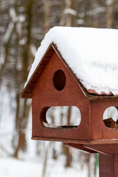 冬に鳥を助ける雪で覆われた茶色の木造鳥小屋 - birdhouse wood pole hole ストックフォトと画像