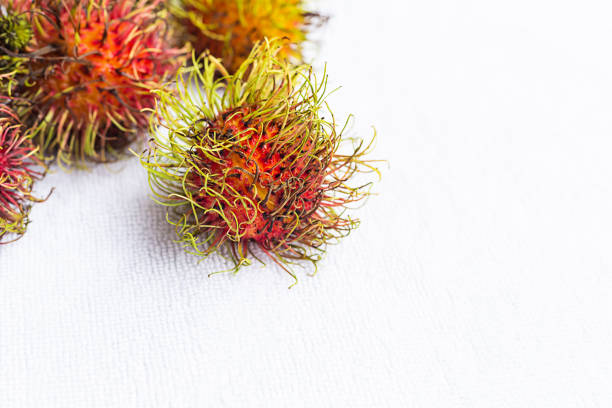 Rambutan fruit isolated on white background.