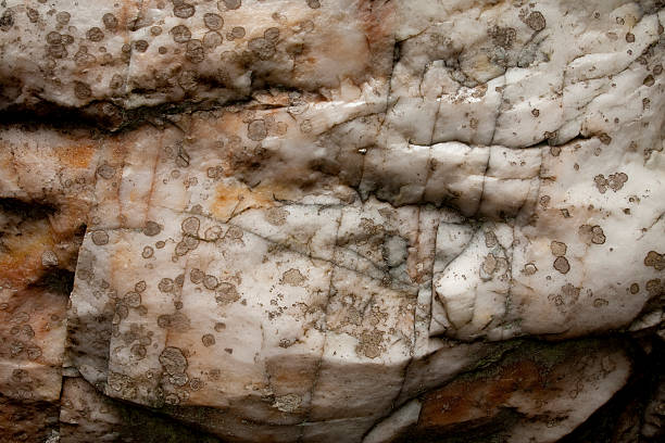 lichens auf quarz shinning rock wilderness area - south highlands stock-fotos und bilder