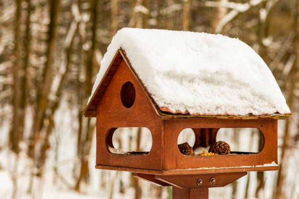 木製の鳥の家茶色の伝統的な管理人の屋根の雪は鳥が森林の住人を保護するのに役立ちます - birdhouse wood pole hole ストックフォトと画像