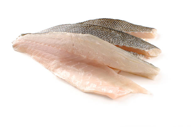 Three sea bass fillet  bass fish stock pictures, royalty-free photos & images