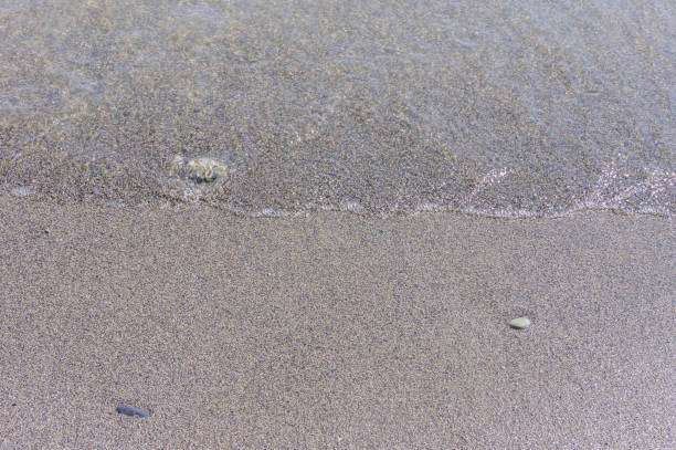 Rock found in the sand in the surf on the beach on a cold cloudy day.