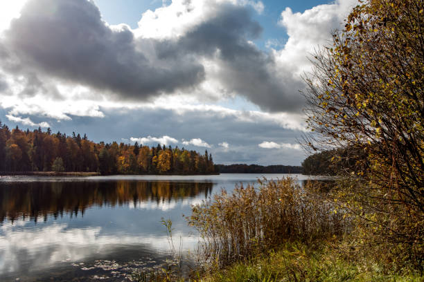 istock Vasaknas lake in Lithuania 1197538502