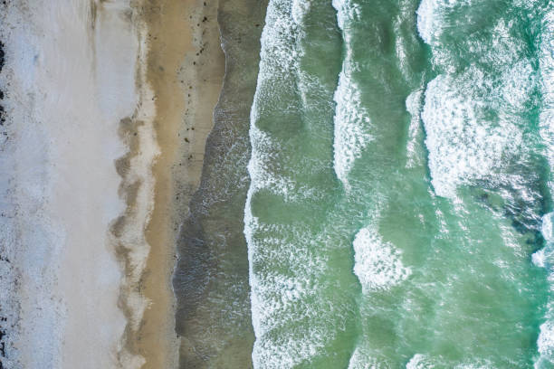 istock Aerial view of sandy beach and ocean with waves 1197540154