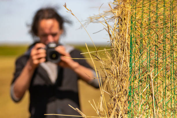 close up shot of big bale of hay in the countryside, with a blurred photographer holding a digital camera and aiming in the background.