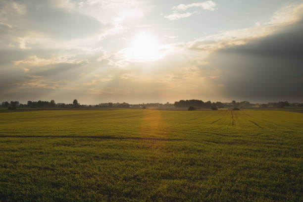 The sun and rays above the clouds and the rural field