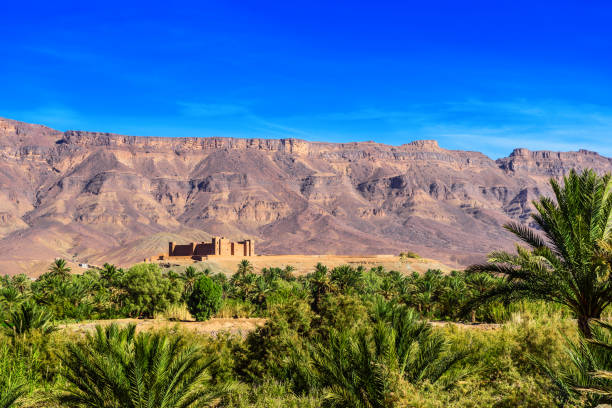 Mountain landscape, Oasis of the Draa Valley, Morocco. Copy space for text.