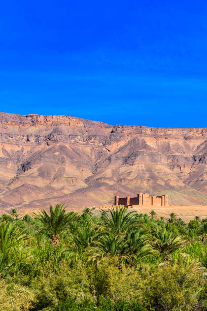 istock Mountain landscape, Oasis of the Draa Valley, Morocco. Copy space for text. Vertical. 1197546098