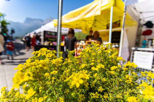 istock Atmosphere during outdoor harvest fair 1197546117