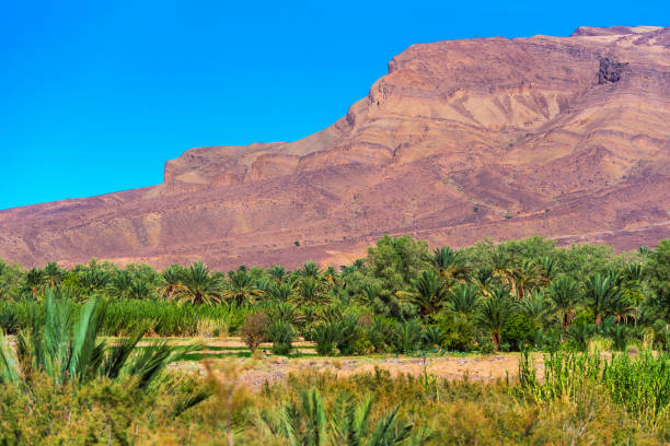 istock Mountain landscape Draa valley oasis, Morocco. 1197546277