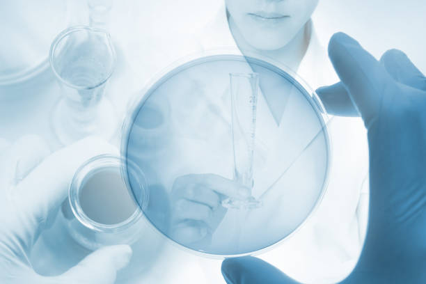 istock Image of research worker at the lab 1197547459