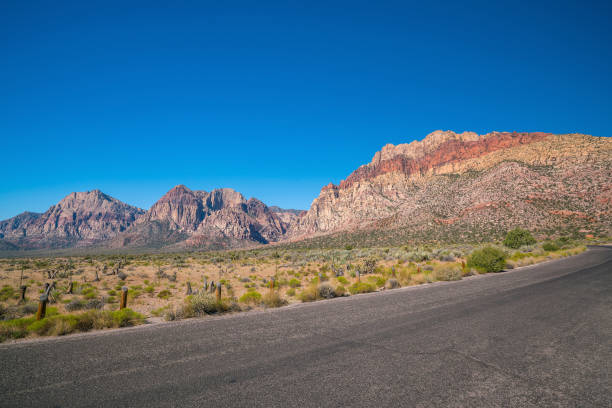 istock Views from Red Rock Canyon, Nevada 1197547688