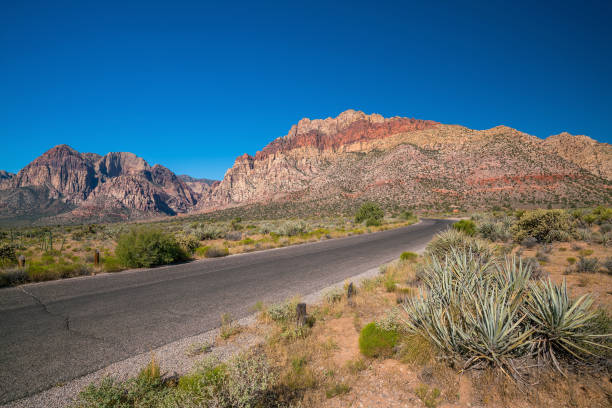 istock Views from Red Rock Canyon, Nevada 1197547689