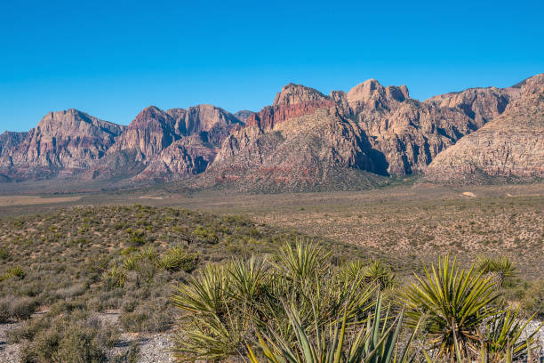 istock Views from Red Rock Canyon, Nevada 1197547699