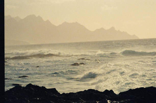 istock The Canarian islands, Gran Canaria in 2019 1197548642