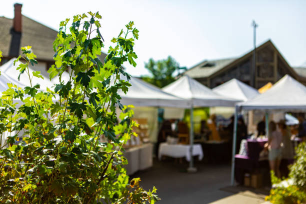 istock Street scene during a summer market 1197549279