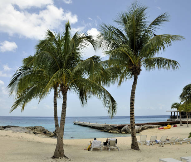istock Beaches of Cozumel 1197553043
