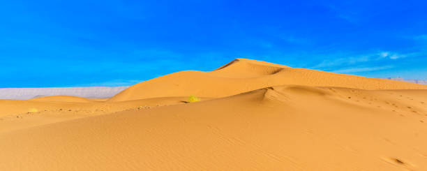 istock landscape Tinfou Dunes, Zagora, Sahara, Morocco. 1197553088