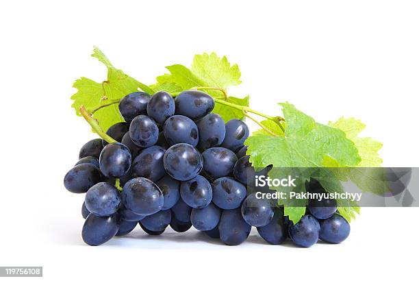 Pęczek Świeżych Fioletowy Winogron Z Liści - zdjęcia stockowe i więcej obrazów Deser - Deser, Dojrzały, Fotografika