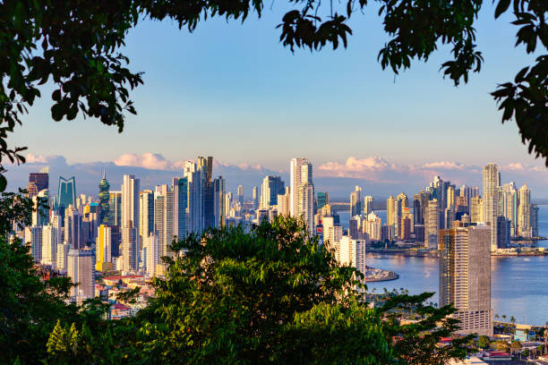 widok na panoramę panama city otoczony tropikalnym lasem deszczowym - panama canal panama canal panama city zdjęcia i obrazy z banku zdjęć