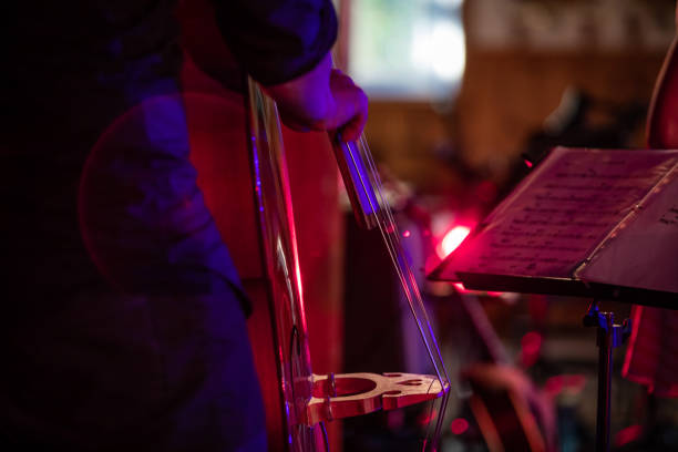 istock Close up of musician playing a string instrument 1197564075