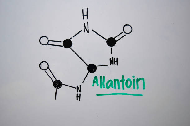 istock Allantoin or called 5-uredohydantoin molecule write on the white board. Structural chemical formula. Education concept 1197564895
