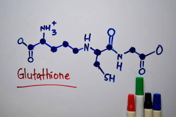 глутатион. важные в растениях и животных молекулы пишут на белой доске. структурная химическая формула. концепция образования - hydrogen molecule white molecular structure стоковые фото и изображения