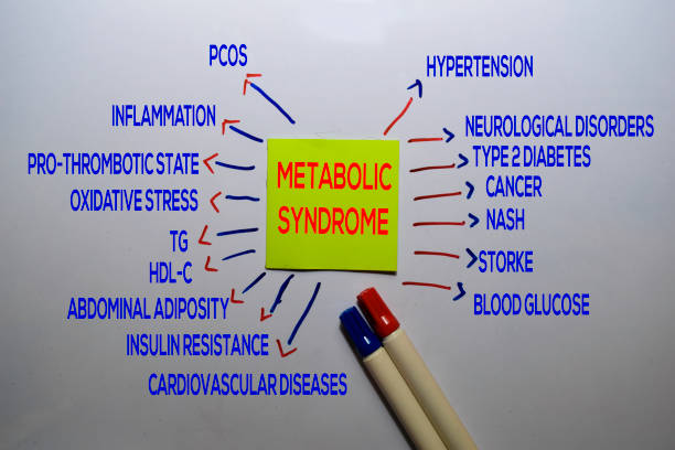 метаболический синдром метод текста с ключевыми словами изолированы на белом фоне борту. концепция диаграммы или механизма. - insulin resistance стоковые фото и изображения