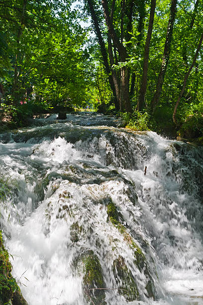 istock Plitvice Lakes National Park 119756664