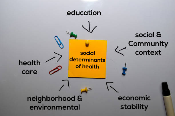 istock Social Determinants of Health Method text with keywords isolated on white board background. Chart or mechanism concept. 1197566775
