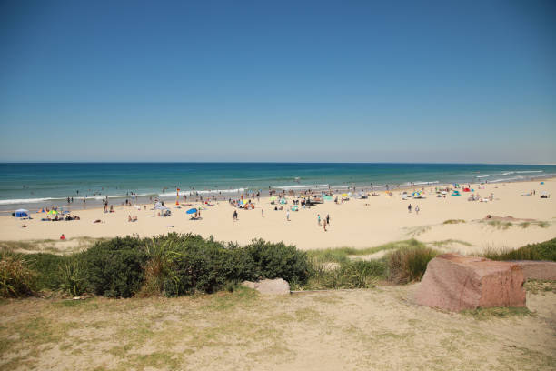 istock View of Birubi Beach in Anna Bay 1197569727