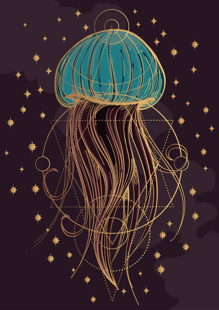 Måltid mesterværk Kalksten Most Jellyfish Poster The Inhabitants Of The Deep Sea Stock Illustration -  Download Image Now - iStock