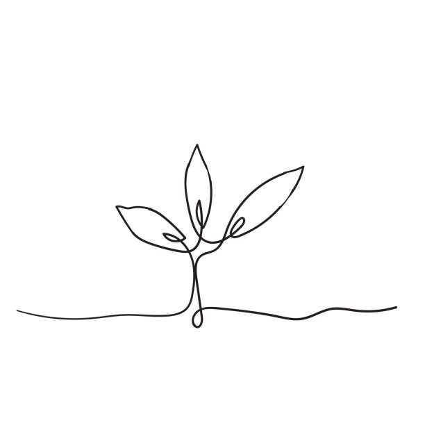 Single continuous line art growing sprout handdrawn doodle style Single continuous line art growing sprout handdrawn doodle style flourish art illustrations stock illustrations