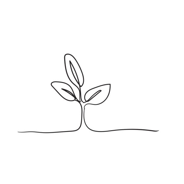 Single continuous line art growing sprout handdrawn doodle style Single continuous line art growing sprout handdrawn doodle style single flower flower black blossom stock illustrations