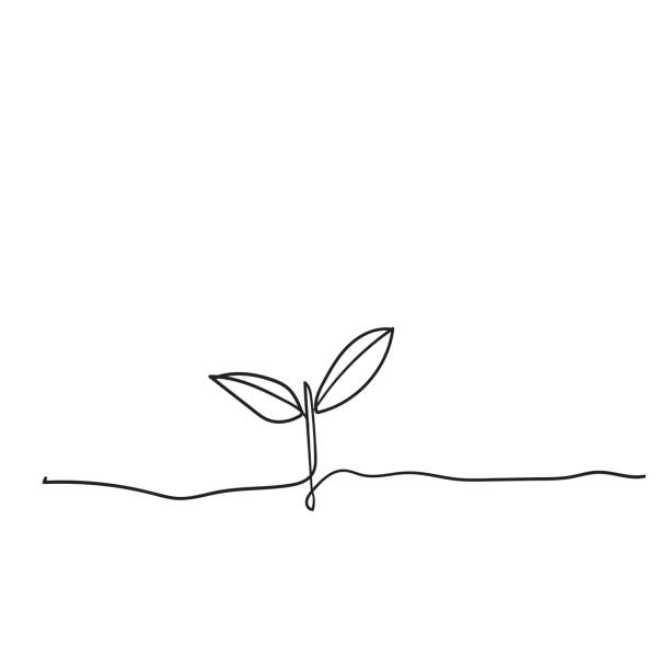 ilustrações de stock, clip art, desenhos animados e ícones de single continuous line art growing sprout handdrawn doodle style - arte linear ilustrações